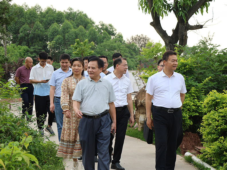  桂平市市长黄德佳等领导到我校指导工作丨 爱体育-爱体育(中国)